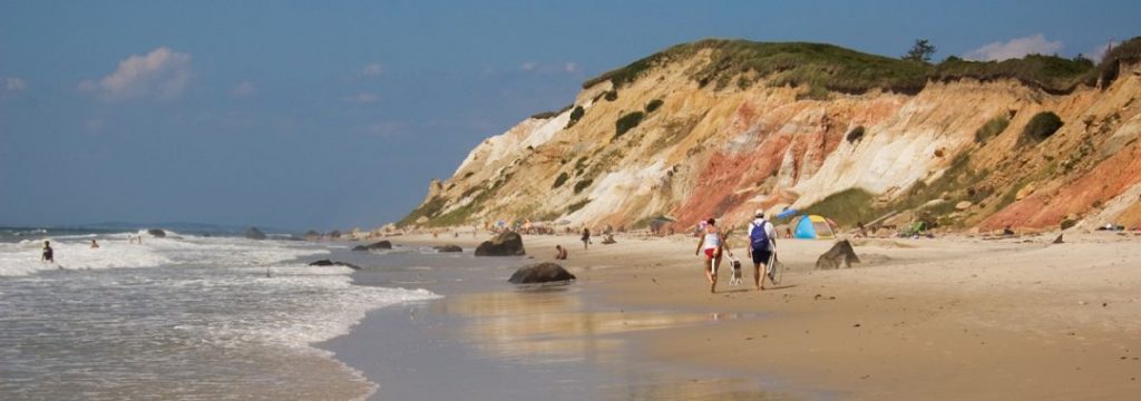 Beach on Marthas Vineyard